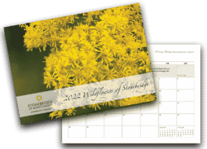 stonebridge-calendar